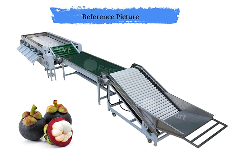 images/1710142548274mangosteen sorting grading machine.jpg